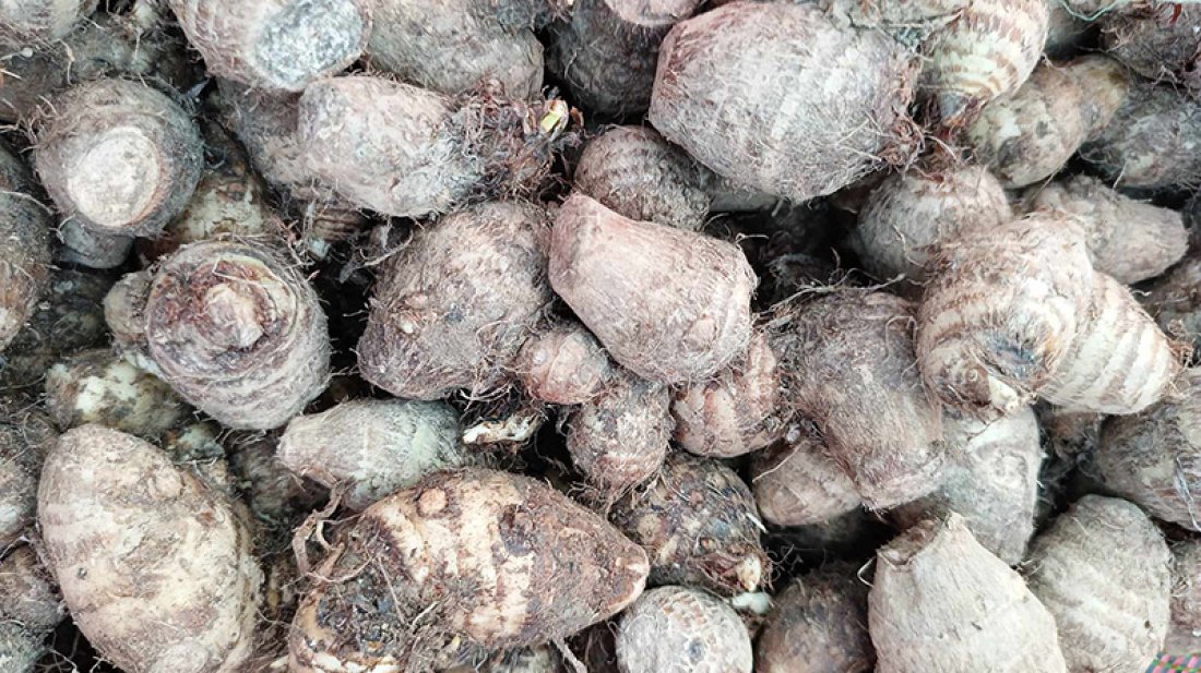 হিলি স্থলবন্দর দিয়ে ভারত থেকে আসলো কচুরমুখি